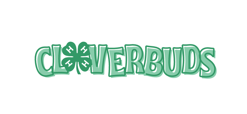 CLOVERBUD